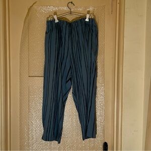 Prairie Cotton Striped Blue Women’s Pants L